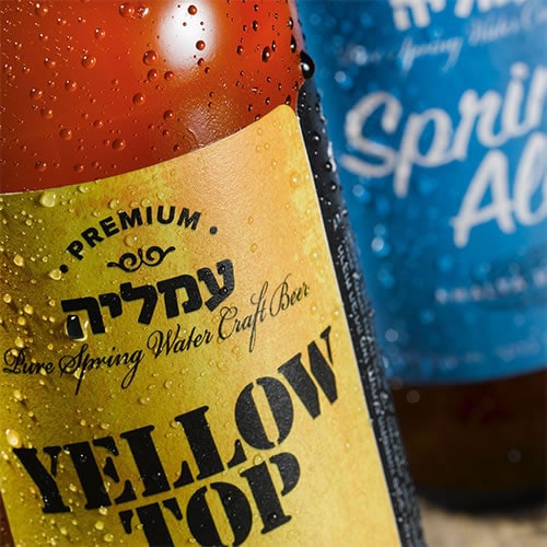 Read more about the article AMALYA BREWERY